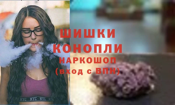 spice Каменка