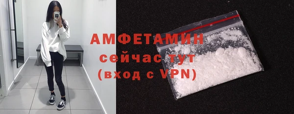 крисы Каменногорск