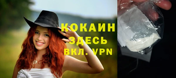 spice Каменка