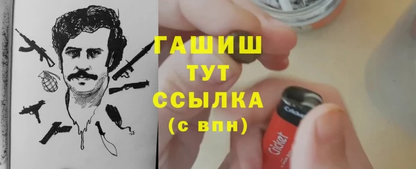 spice Каменка