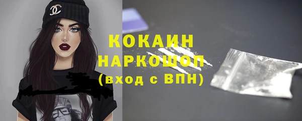 spice Каменка