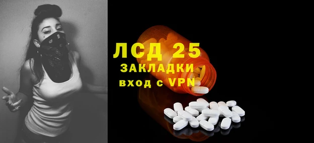 spice Каменка