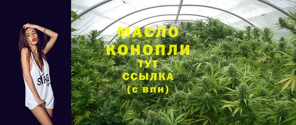 крисы Каменногорск