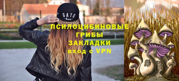 крисы Каменногорск