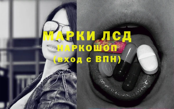 spice Каменка
