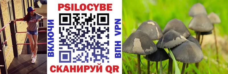 Галлюциногенные грибы Cubensis Купить где Приморск