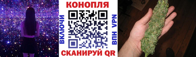 Купить закладки  Приморск  Каннабис MAZAR 